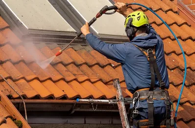 Démoussage et hydrofuge de toiture à Séchilienne